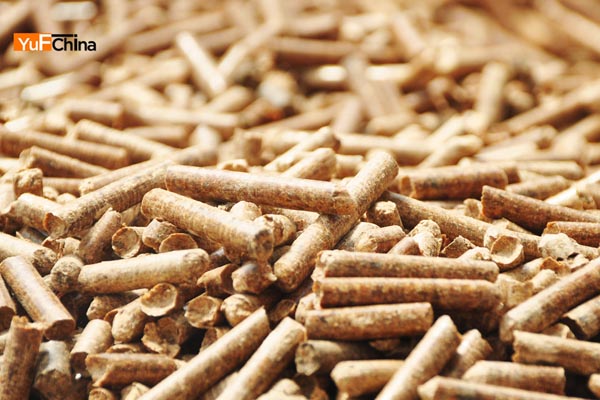 biomass particles
